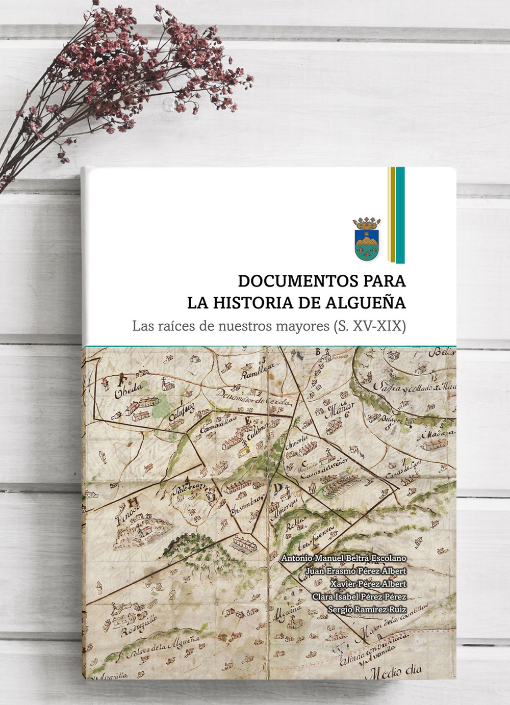 Imagen de la portada del libro Documentos para la historia de Algueña